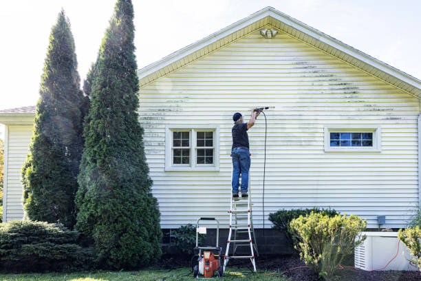Best Solar Panel Cleaning  in Beaver Creek, TX
